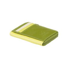 Картхолдер Visconti RB110 Phi Phi (Lime Multi)