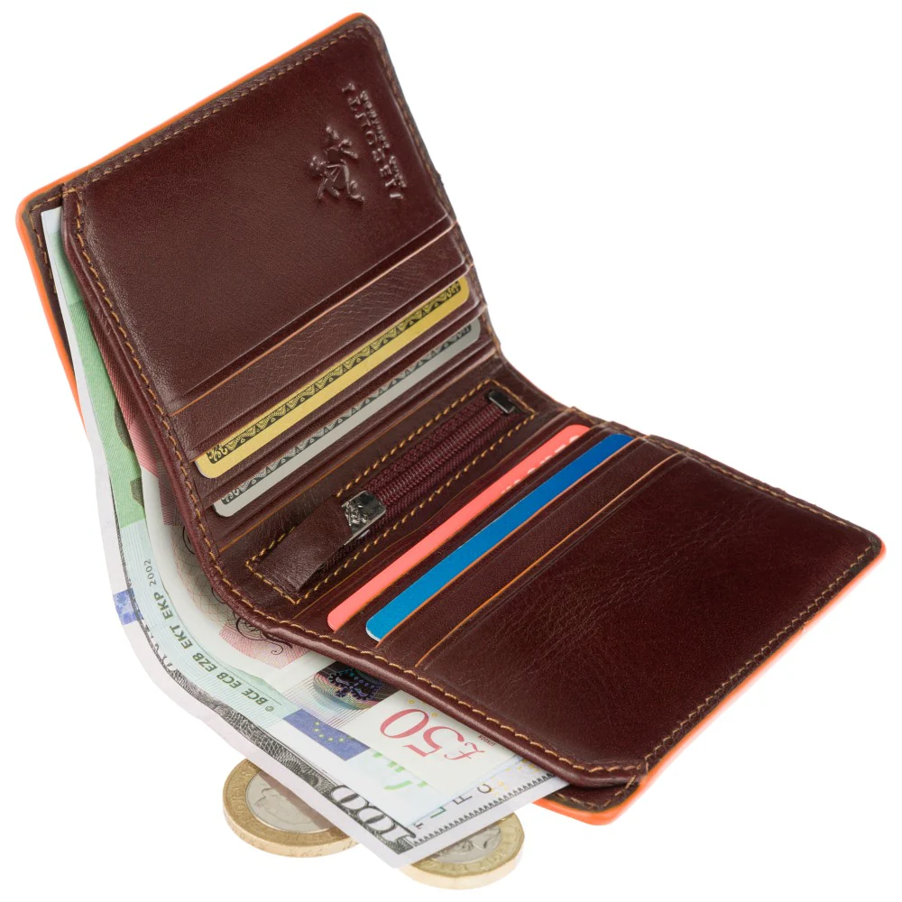 Гаманець чоловічий Visconti ALP92 Tignes (Brown)