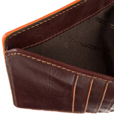 Гаманець чоловічий Visconti ALP92 Tignes (Brown)
