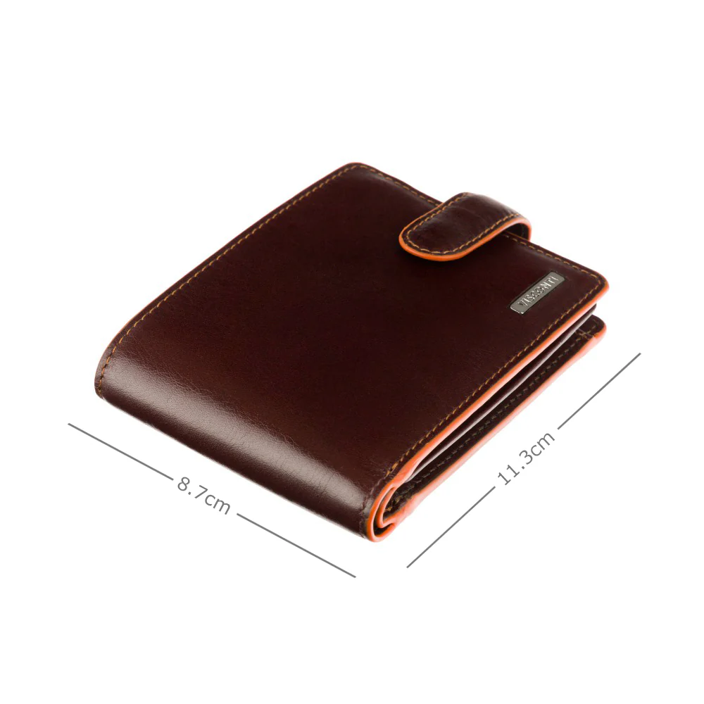 Гаманець чоловічий Visconti ALP93 Morgex (Brown)