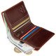Гаманець чоловічий Visconti ALP92 Tignes (Brown)
