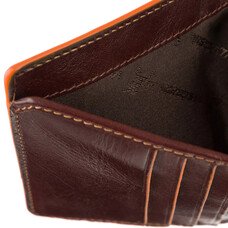 Гаманець чоловічий Visconti ALP92 Tignes (Brown)