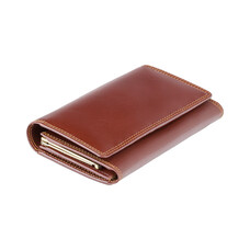Гаманець жіночий Visconti MZ12 Maria c RFID (Italian Brown)
