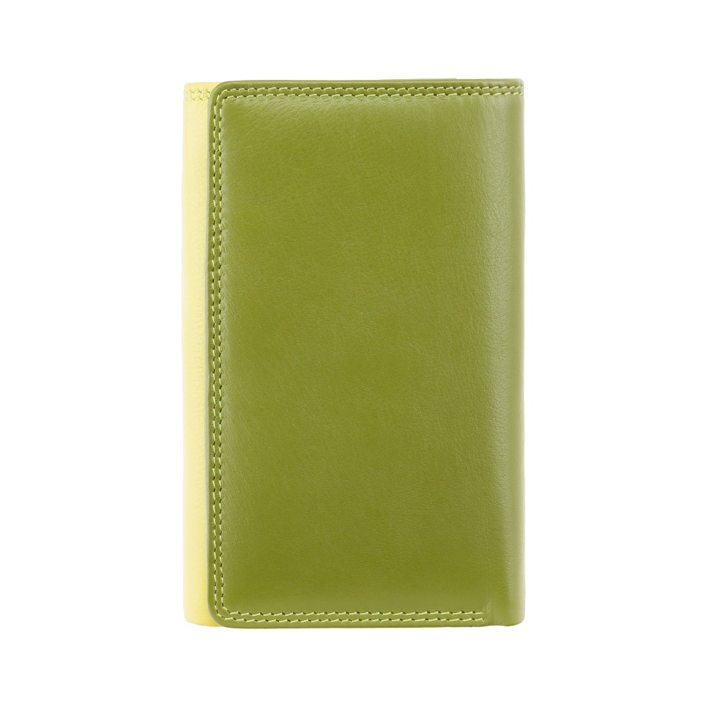 Гаманець жіночий Visconti RB43 Bora c RFID (Lime Multi)