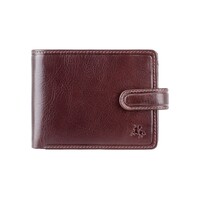 Гаманець чоловічий Visconti TSC48 Filipo c RFID (Brown)