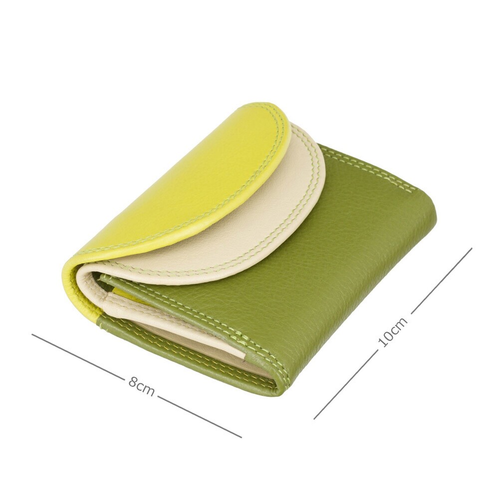 Гаманець жіночий Visconti RB126 Zanzibar (Lime Multi)