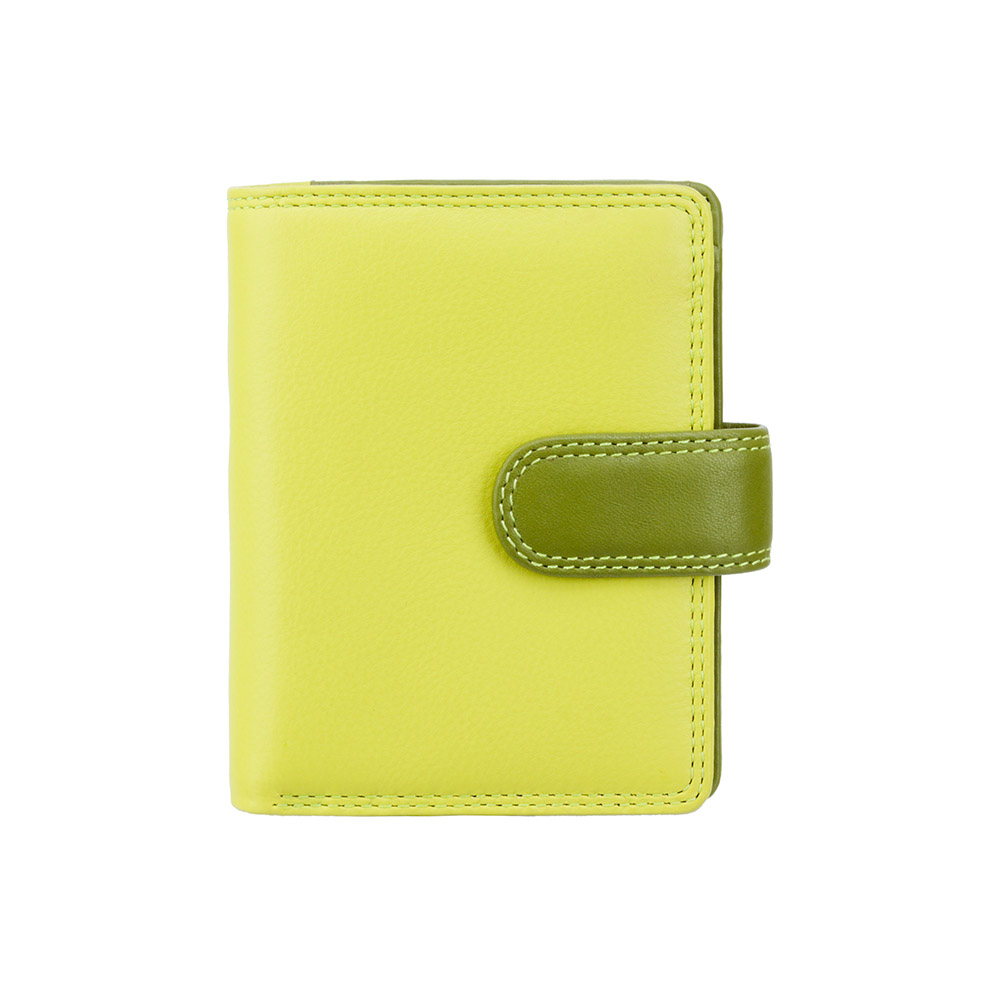 Гаманець жіночий Visconti RB40 Bali c RFID (Lime Multi)