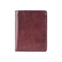 Гаманець чоловічий Visconti TSC44 Lucca c RFID (Brown)