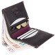 Гаманець чоловічий Visconti AP61 Brig (Black Burgundy)