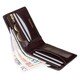 Гаманець чоловічий Visconti TSC46 Francesca c RFID (Brown)