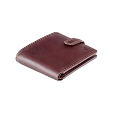 Гаманець чоловічий Visconti TSC47 Riccardo c RFID (Brown)