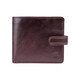 Гаманець чоловічий Visconti TSC41 Massa c RFID (Brown)