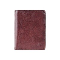 Гаманець чоловічий Visconti TSC44 Lucca c RFID (Brown)